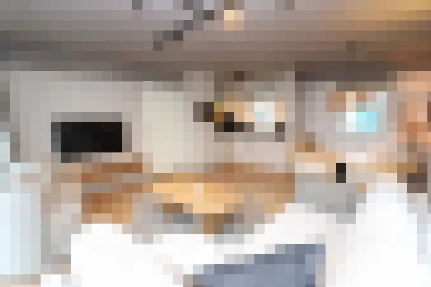 Sandurdreef 5 355 Emmen thumbnail 6