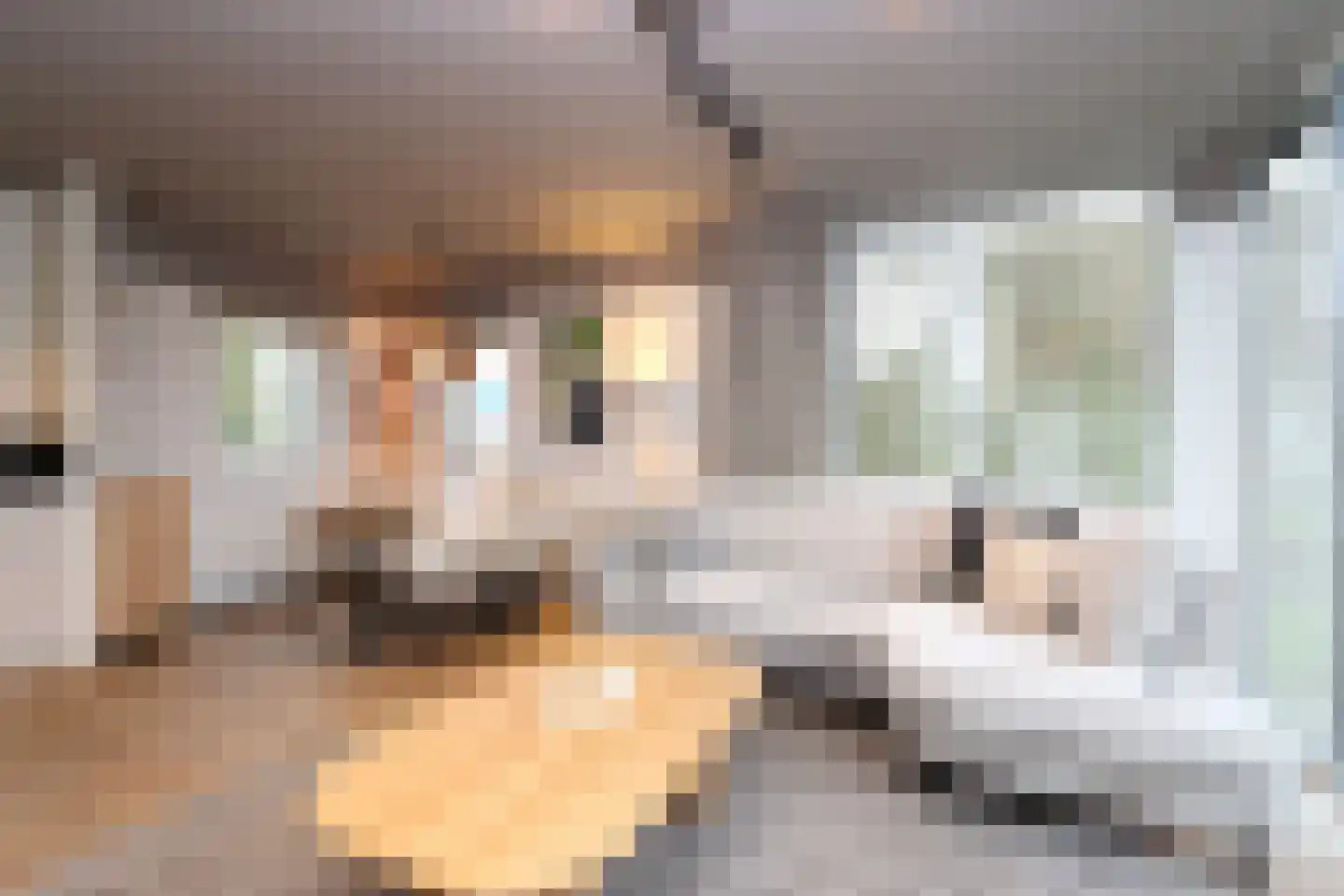 Sandurdreef 5 355 Emmen thumbnail 7