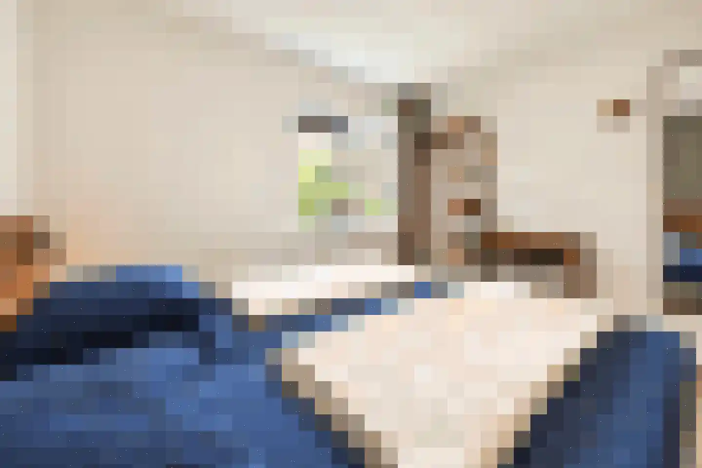 Sandurdreef 5 356 Emmen thumbnail 13
