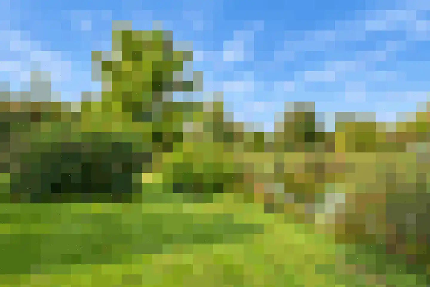 Sandurdreef 5 356 Emmen thumbnail 5