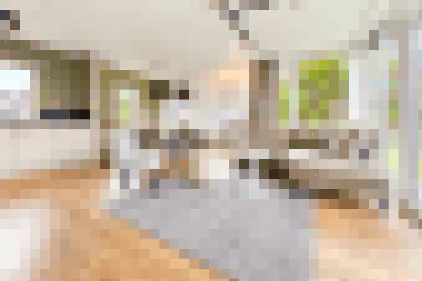 Sandurdreef 5 356 Emmen thumbnail 7