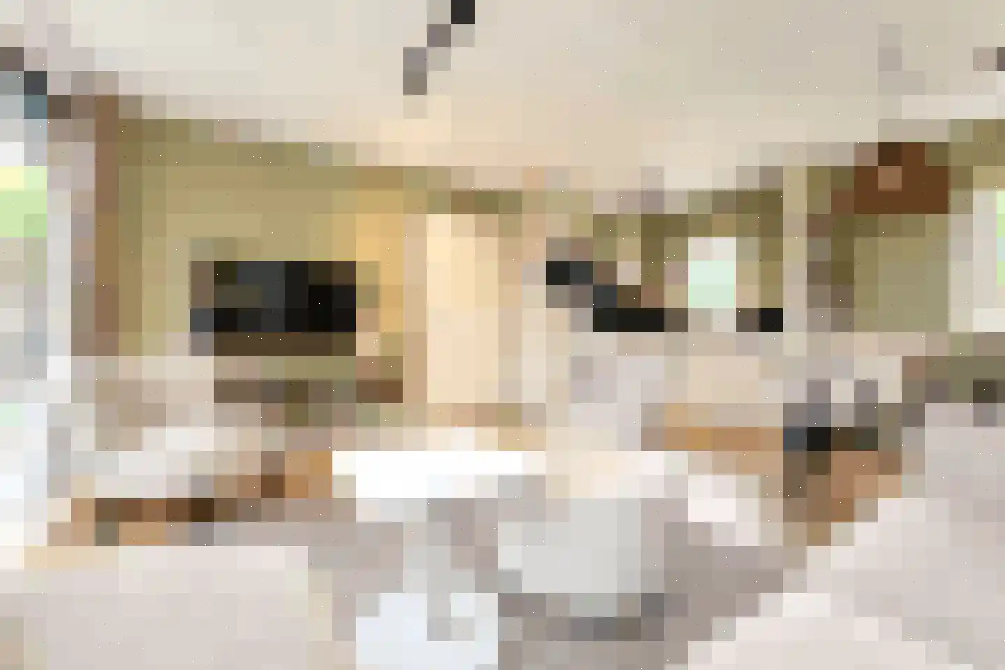 Sandurdreef 5 356 Emmen thumbnail 8