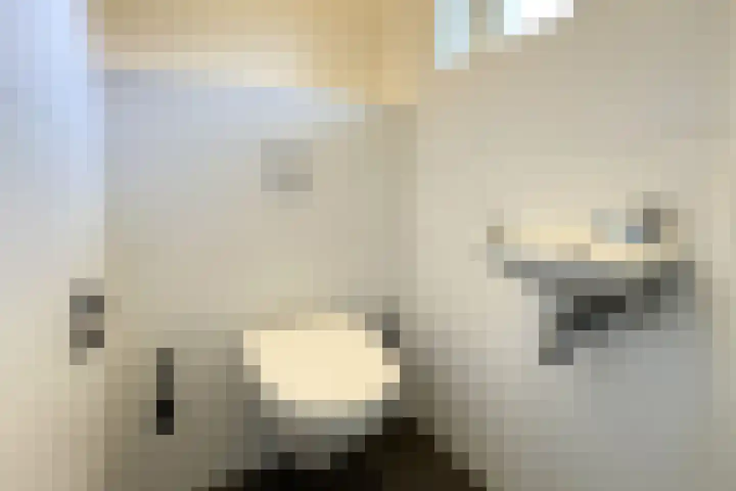 Sandurdreef 5 358 Emmen thumbnail 13