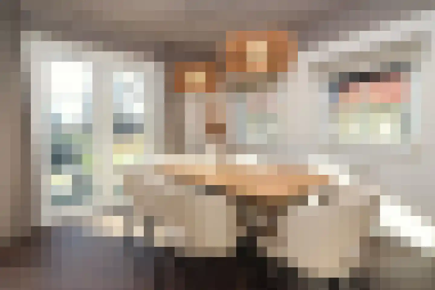 Sandurdreef 5 358 Emmen thumbnail 8