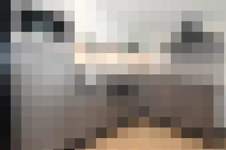 Sandurdreef 5 398 Emmen thumbnail 11