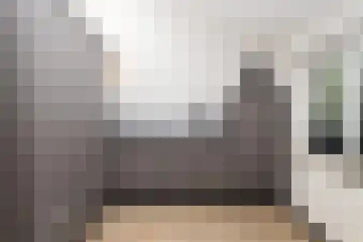 Sandurdreef 5 398 Emmen thumbnail 15
