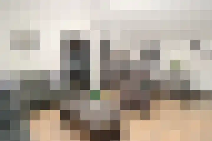 Sandurdreef 5 398 Emmen thumbnail 8