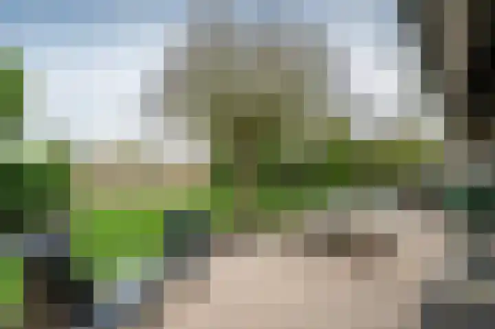 Sandurdreef 5 4 Emmen thumbnail 23