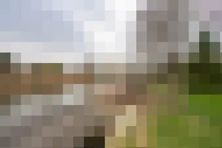 Sandurdreef 5 4 Emmen thumbnail 25