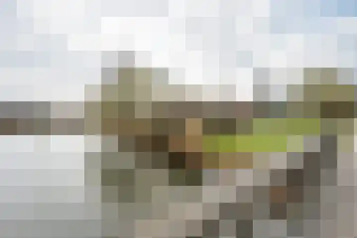 Sandurdreef 5 4 Emmen thumbnail 27