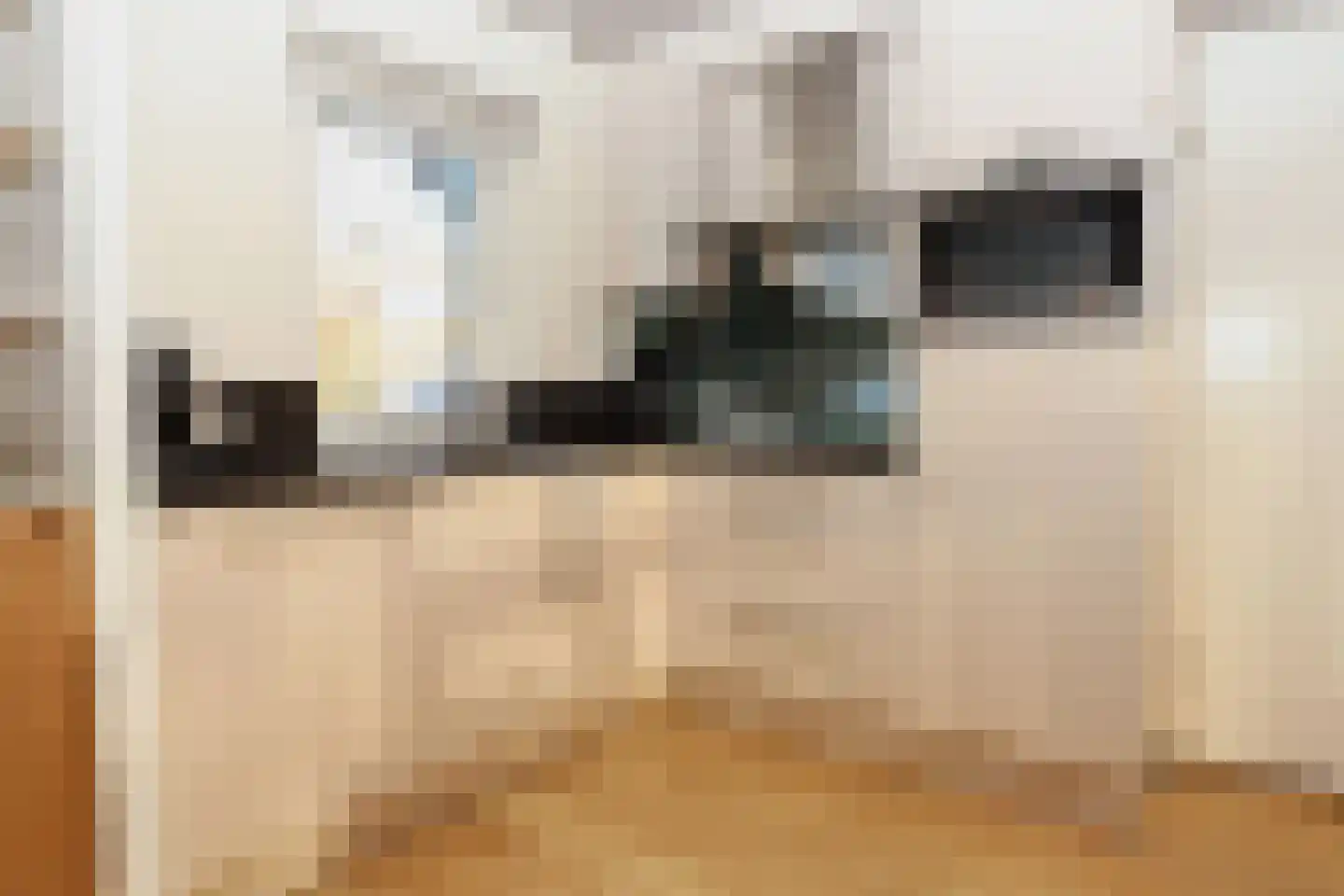 Sandurdreef 5 402 Emmen thumbnail 11