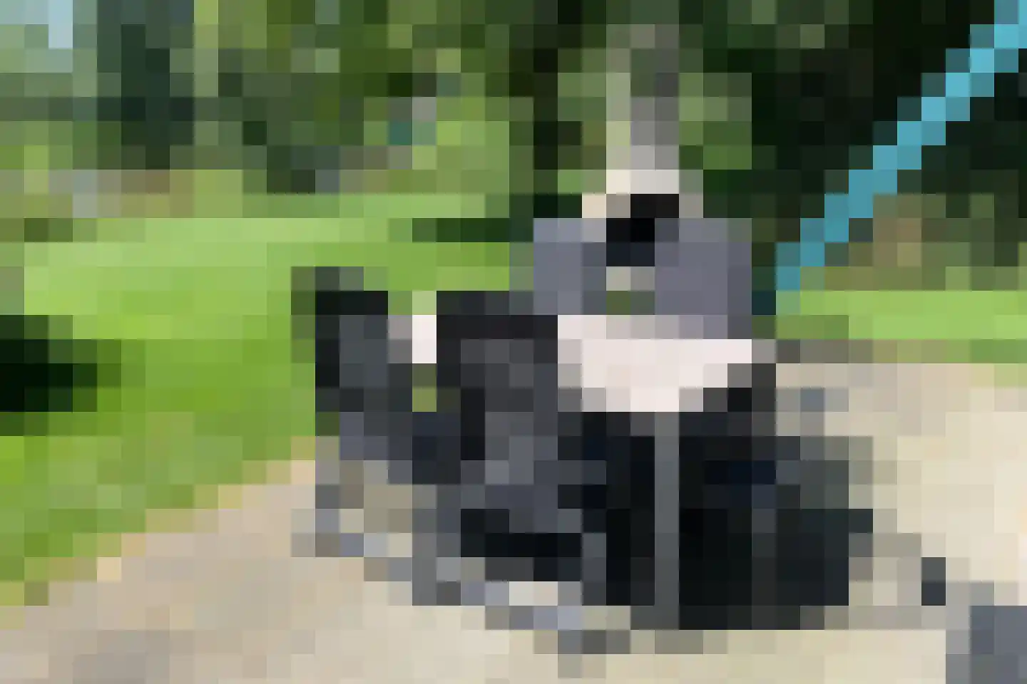 Sandurdreef 5 402 Emmen thumbnail 4