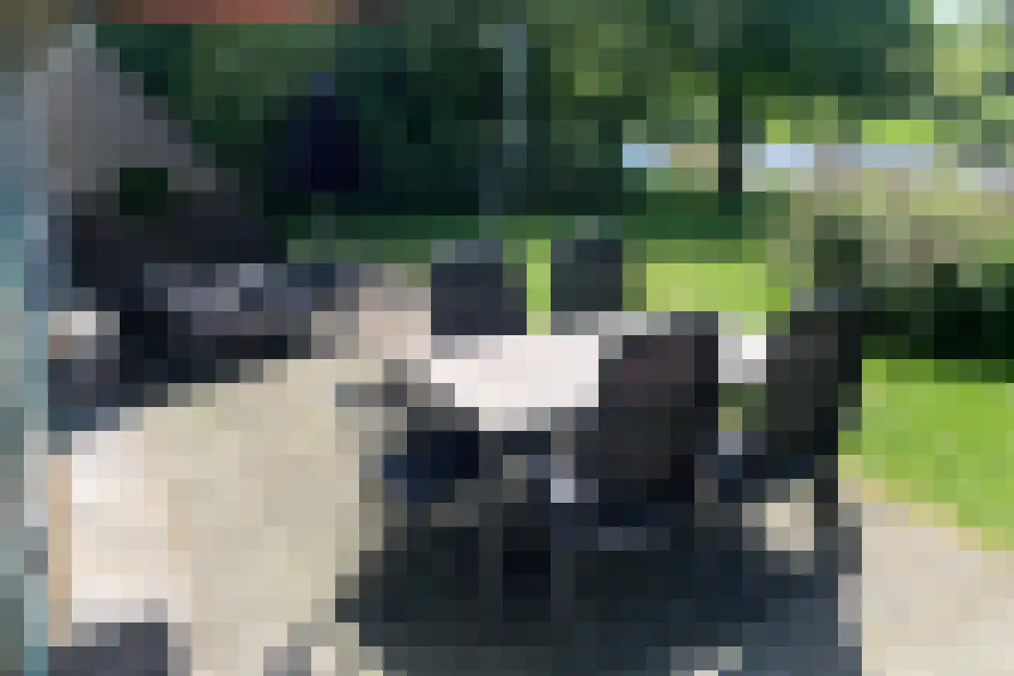 Sandurdreef 5 402 Emmen thumbnail 5