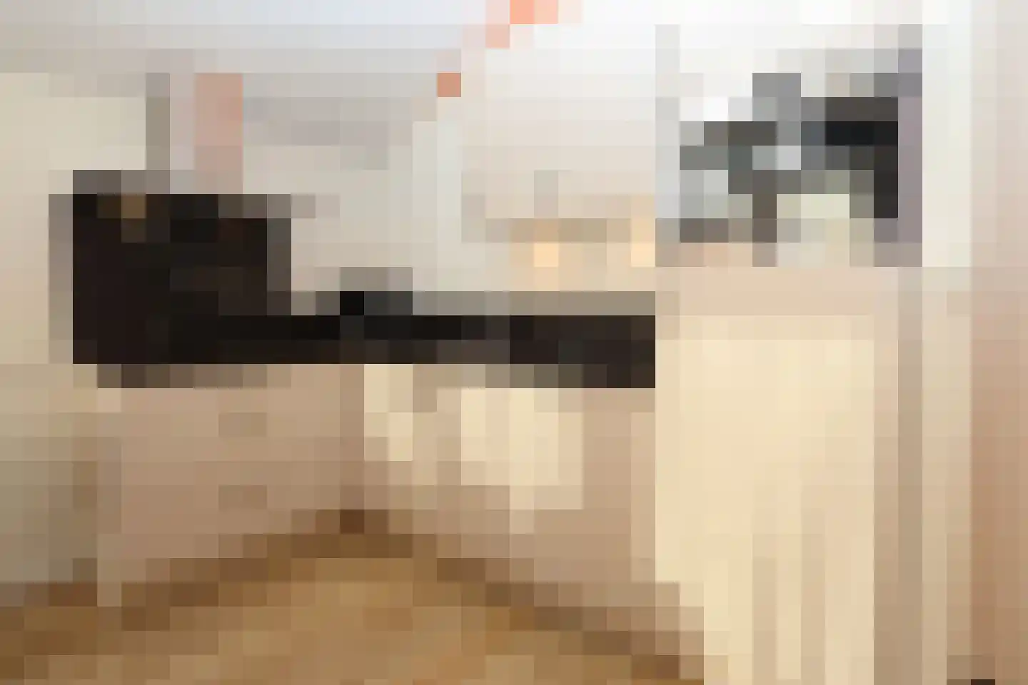 Sandurdreef 5 407 Emmen thumbnail 11