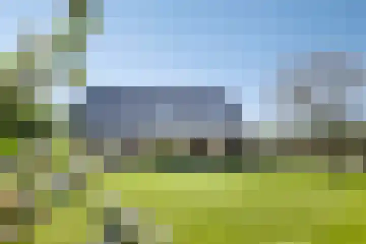 Sandurdreef 5 407 Emmen thumbnail 15