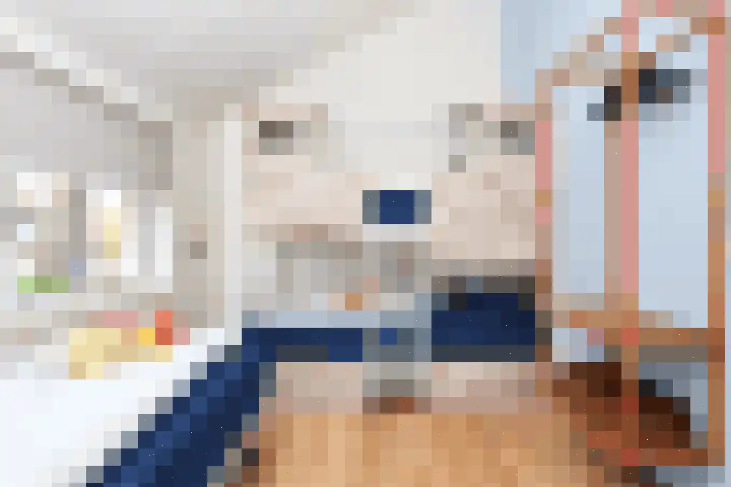 Sandurdreef 5 407 Emmen thumbnail 16