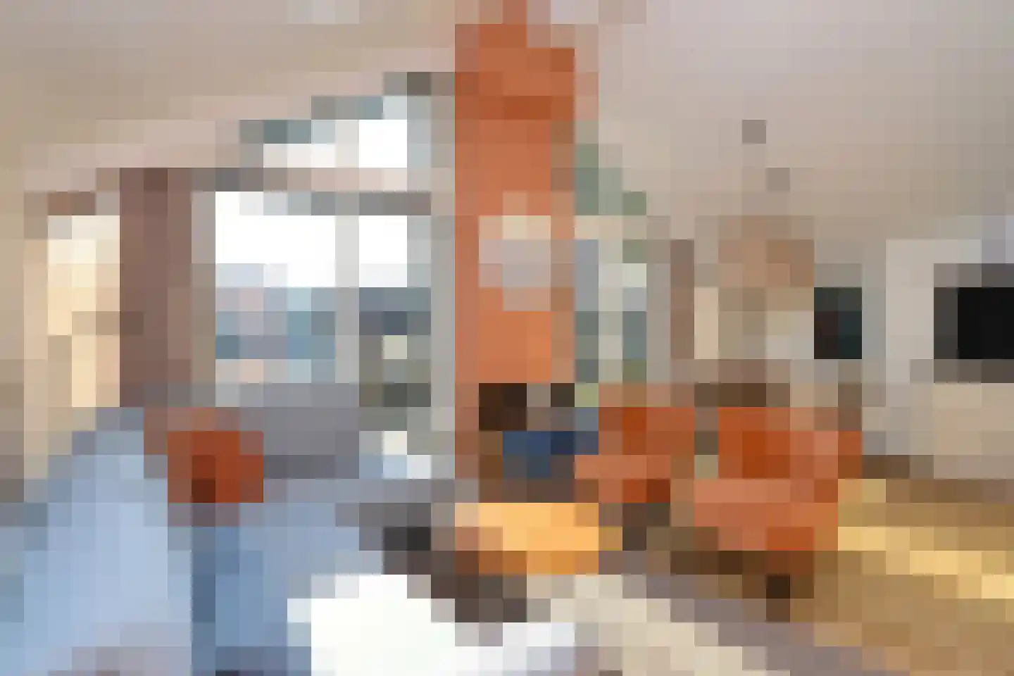 Sandurdreef 5 407 Emmen thumbnail 7