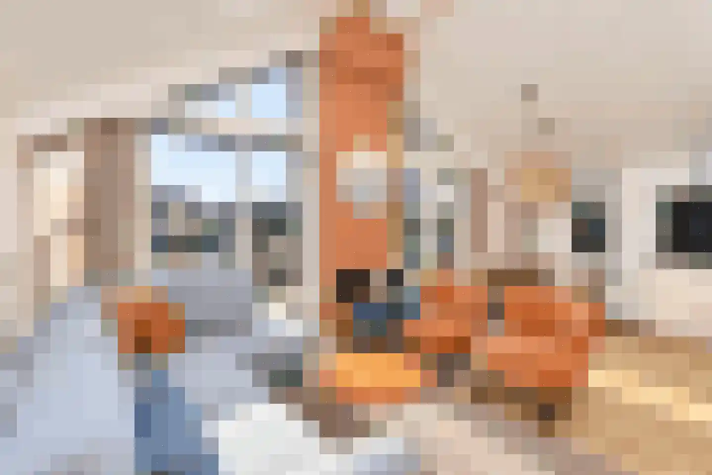 Sandurdreef 5 407 Emmen thumbnail 9