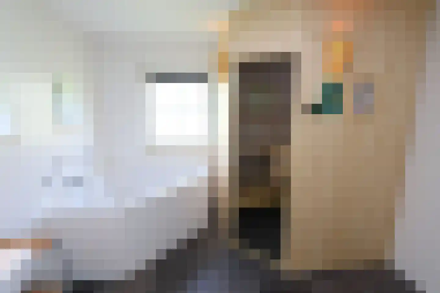 Sandurdreef 5 412 Emmen thumbnail 13