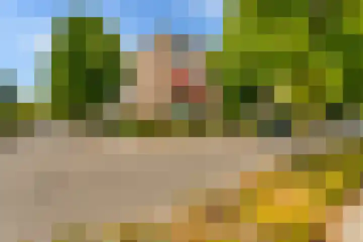 Sandurdreef 5 412 Emmen thumbnail 6