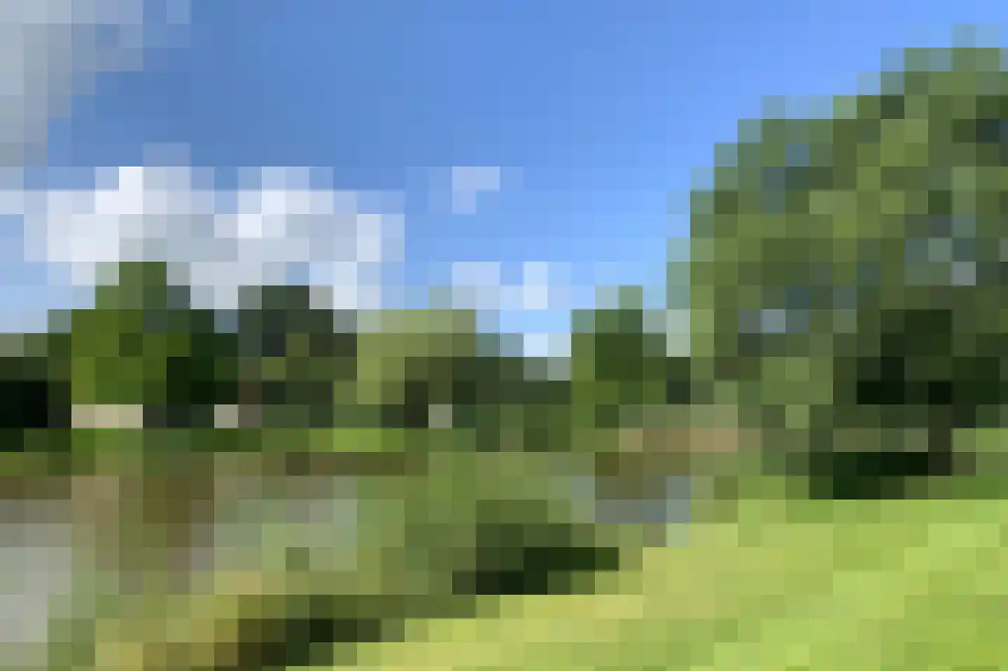 Sandurdreef 5 412 Emmen thumbnail 7