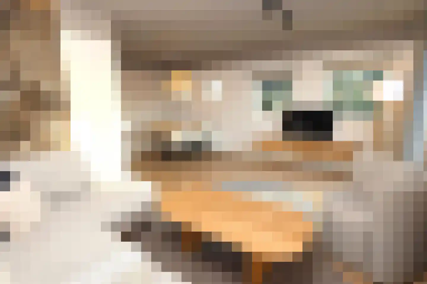 Sandurdreef 5 412 Emmen thumbnail 8