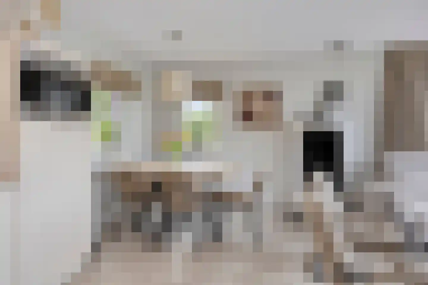 Sandurdreef 5 6 Emmen thumbnail 13
