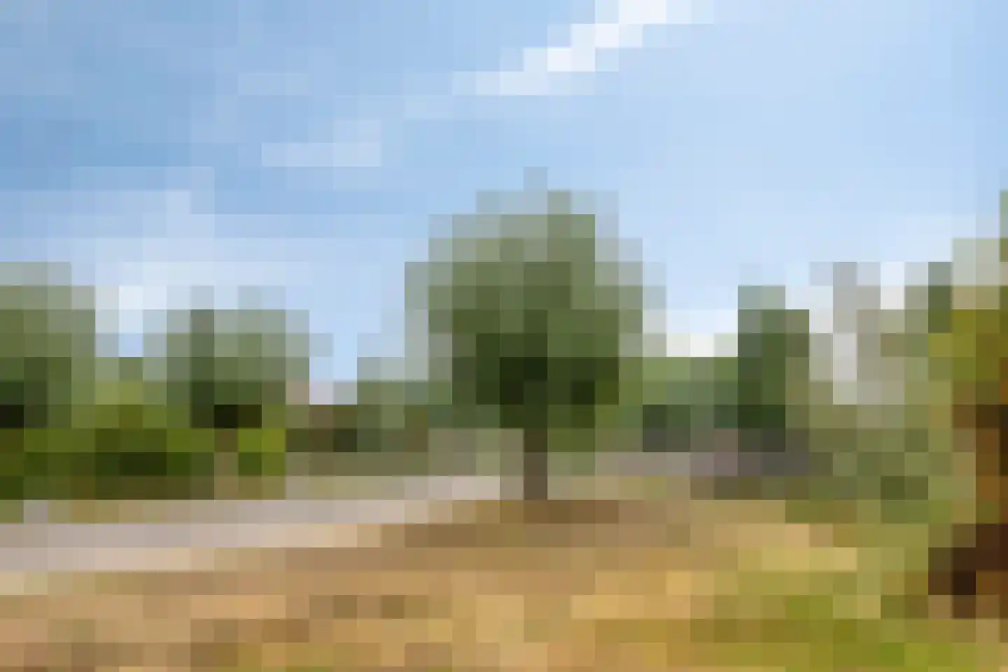 Sandurdreef 5 6 Emmen thumbnail 35
