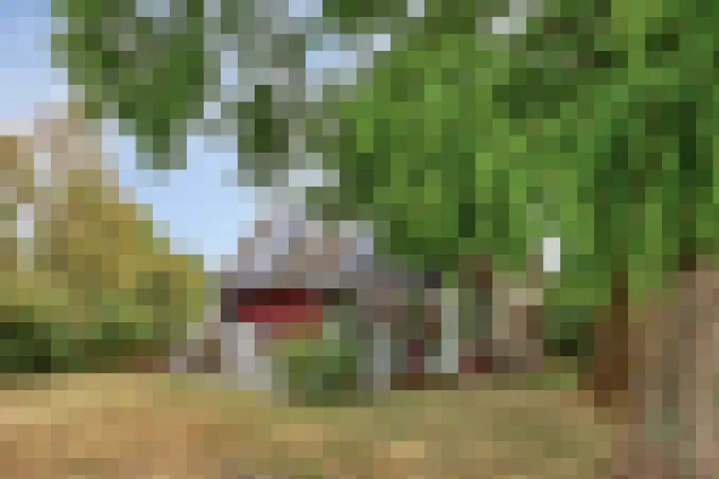 Sandurdreef 5 6 Emmen thumbnail 5