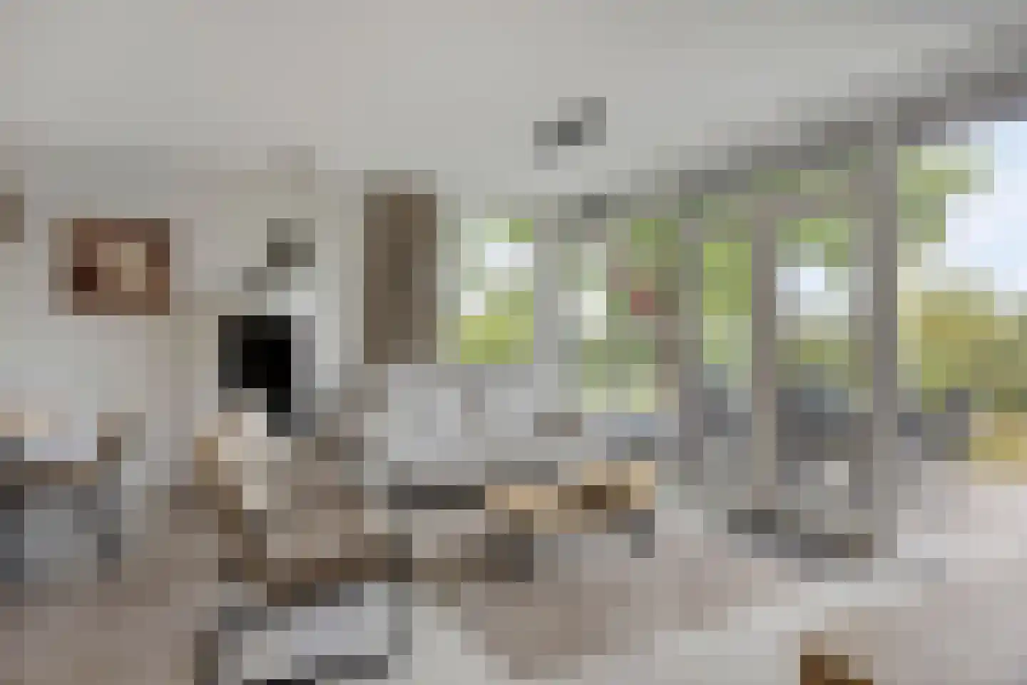 Sandurdreef 5 6 Emmen thumbnail 9