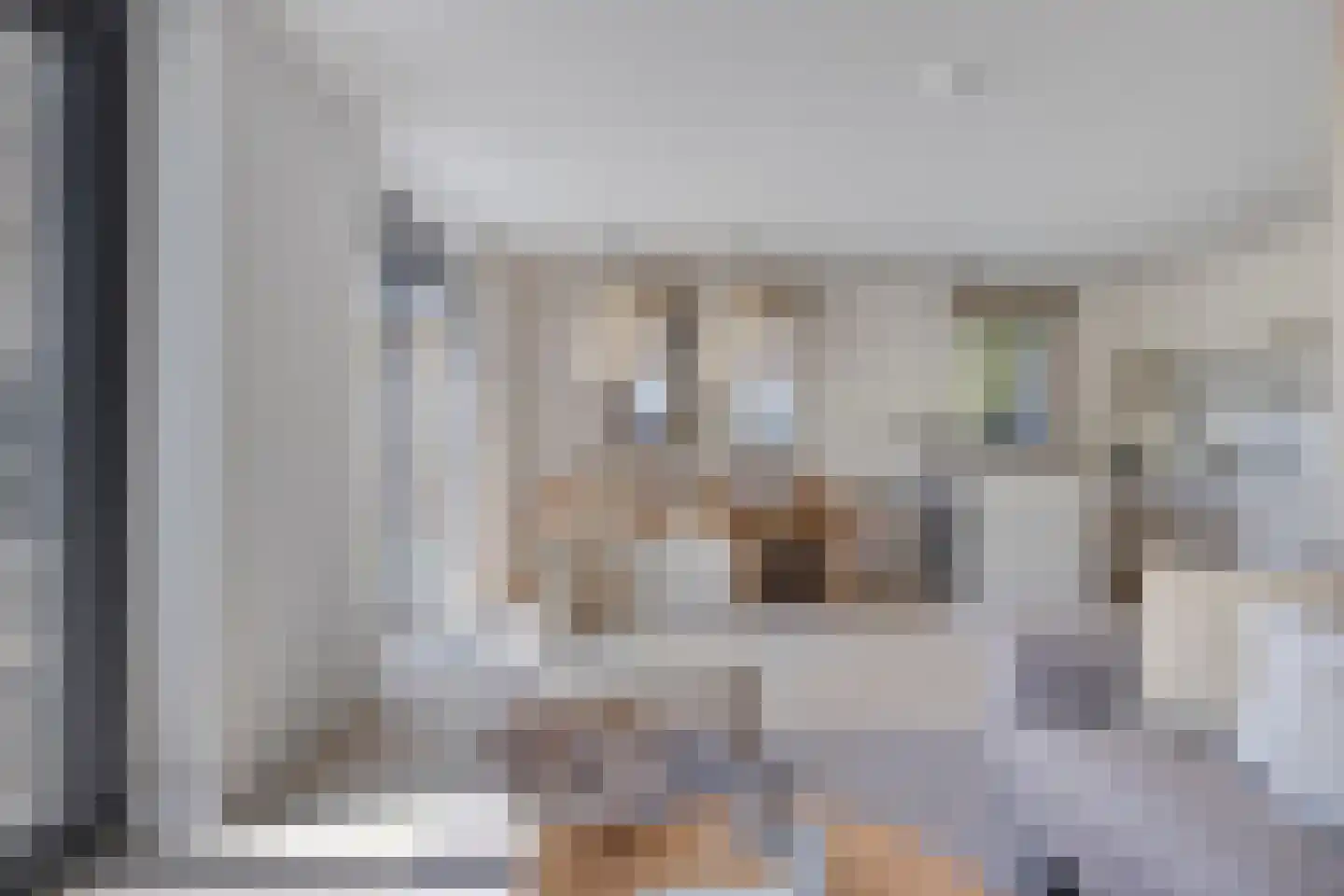 Sandurdreef 5 97 Emmen thumbnail 8