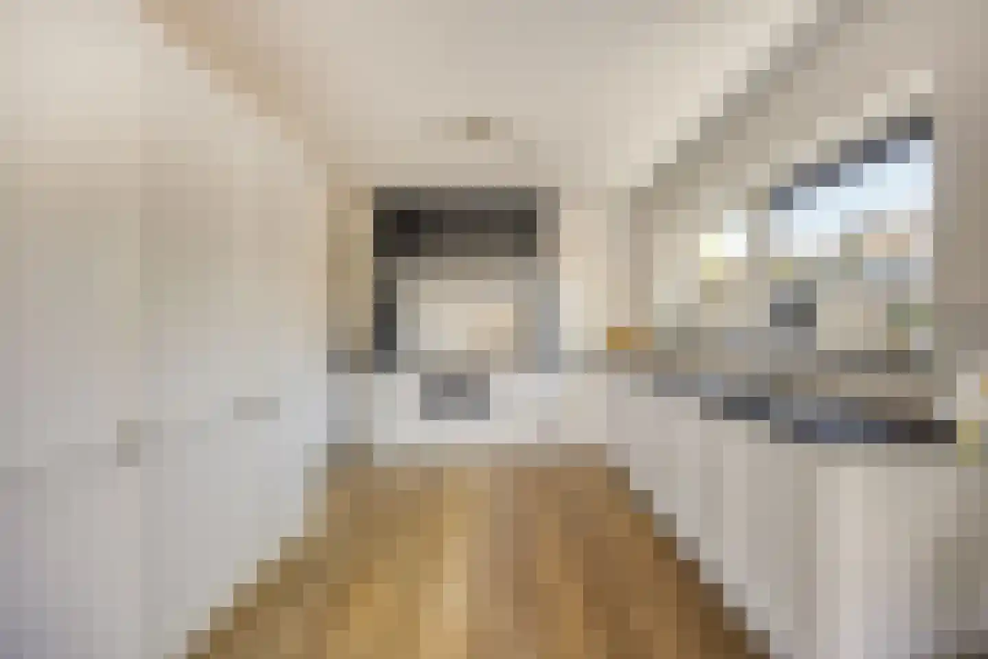 Sandvisbaai 1 Purmerend thumbnail 11