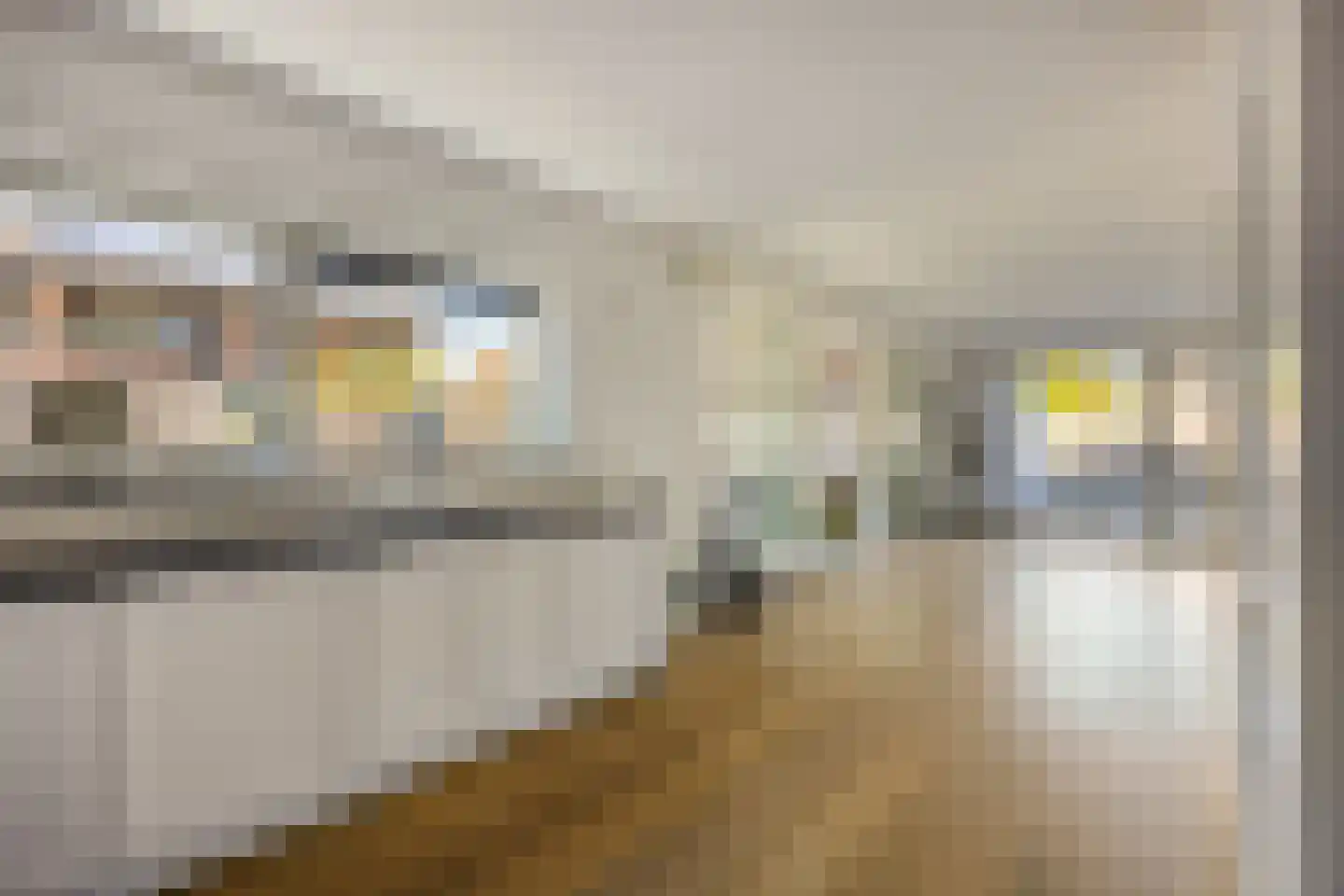 Sandvisbaai 1 Purmerend thumbnail 12