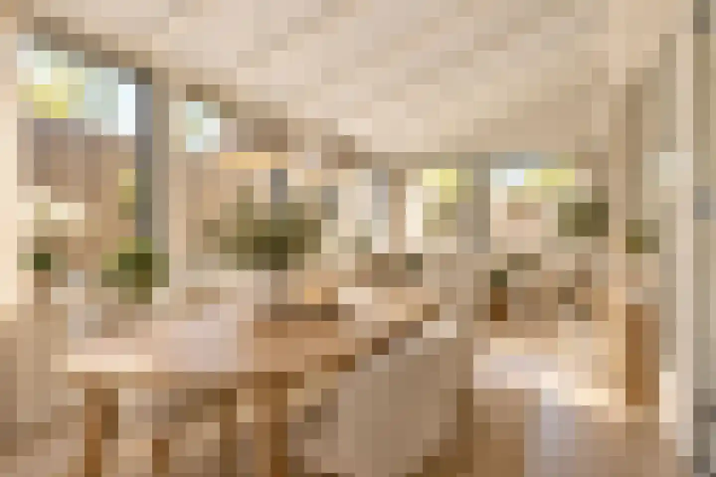 Sandvisbaai 1 Purmerend thumbnail 12