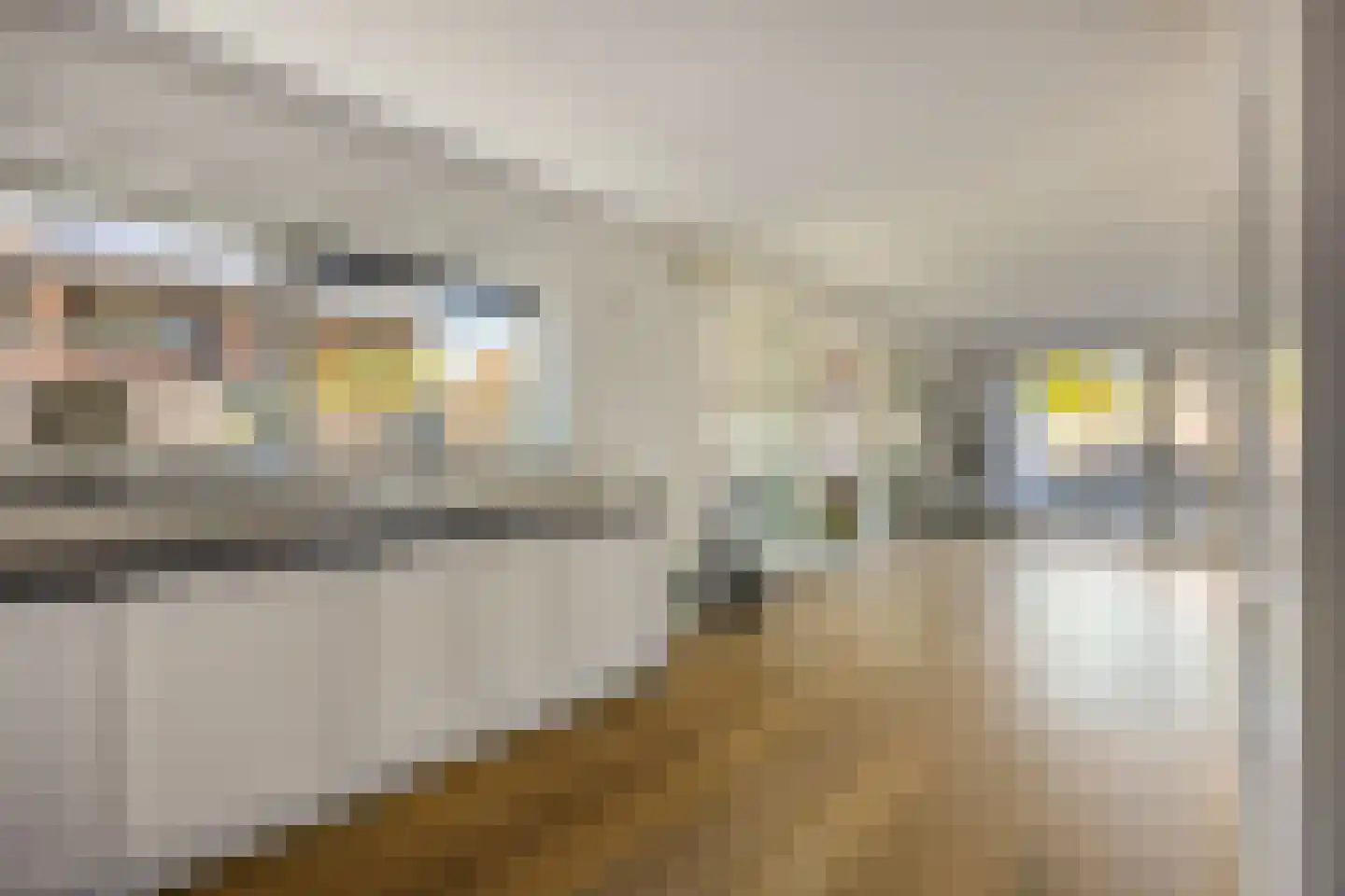 Sandvisbaai 1 Purmerend thumbnail 16
