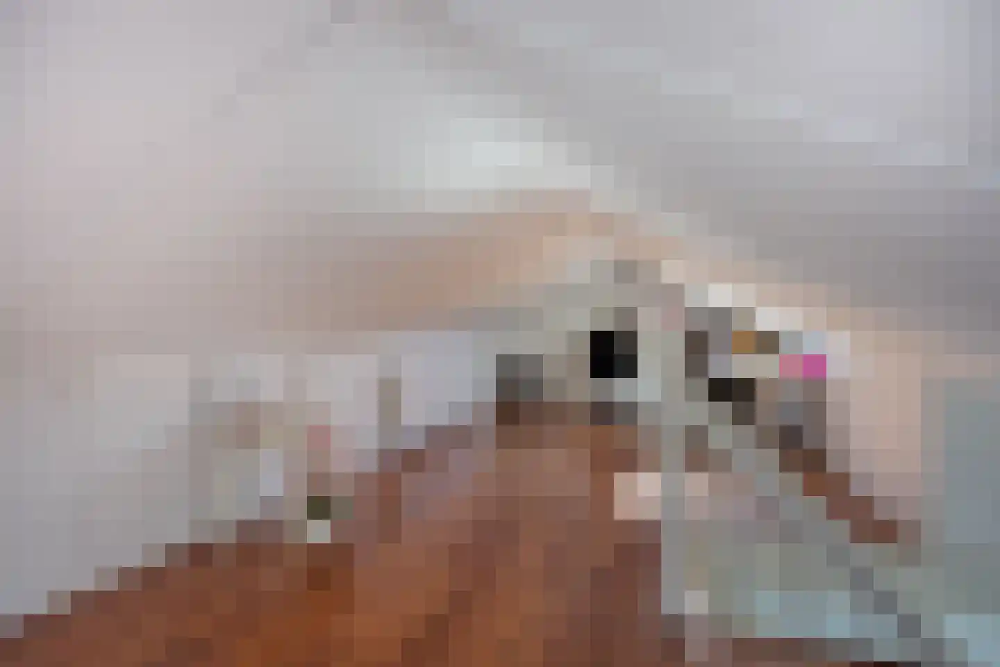 Sandvisbaai 1 Purmerend thumbnail 32