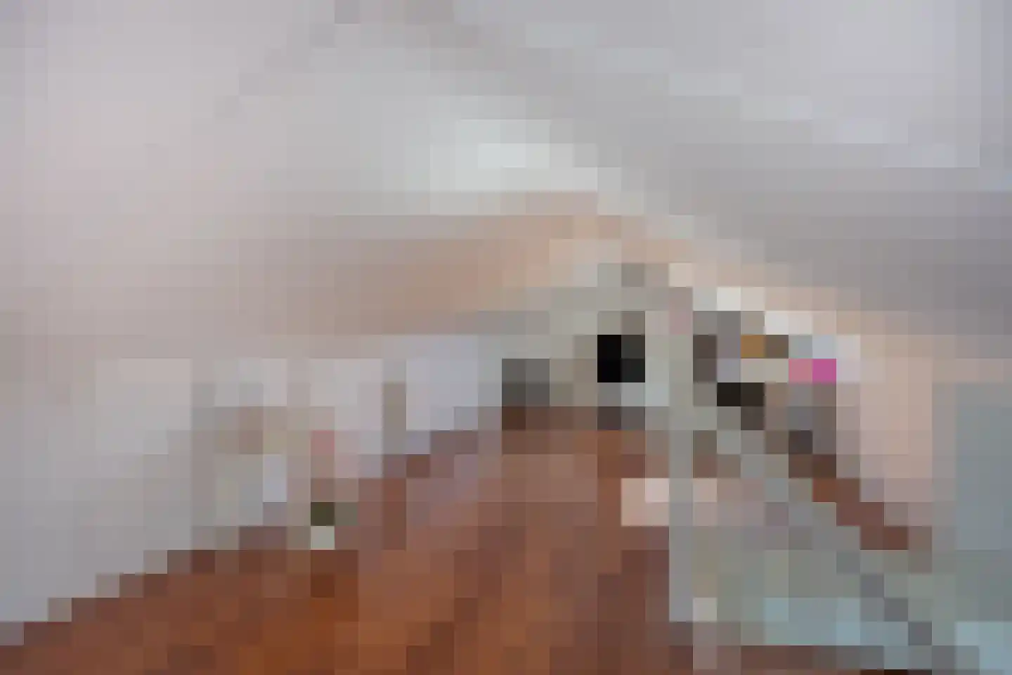 Sandvisbaai 1 Purmerend thumbnail 36