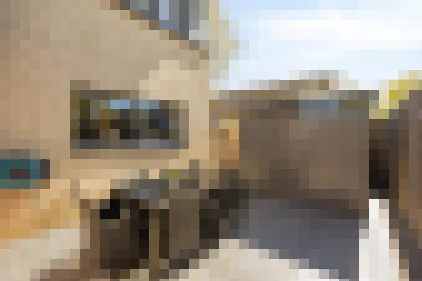 Sandvisbaai 1 Purmerend thumbnail 37