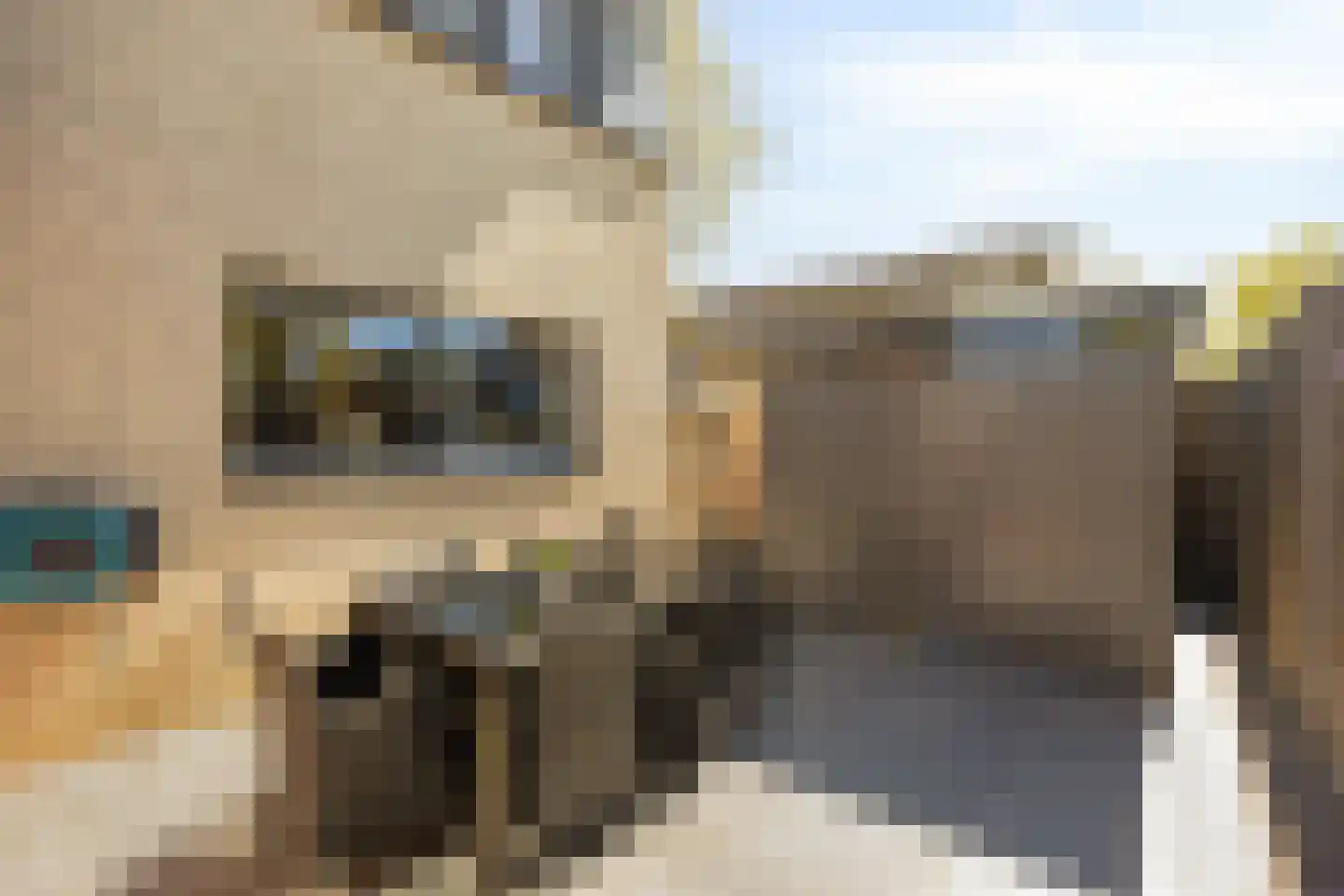 Sandvisbaai 1 Purmerend thumbnail 40