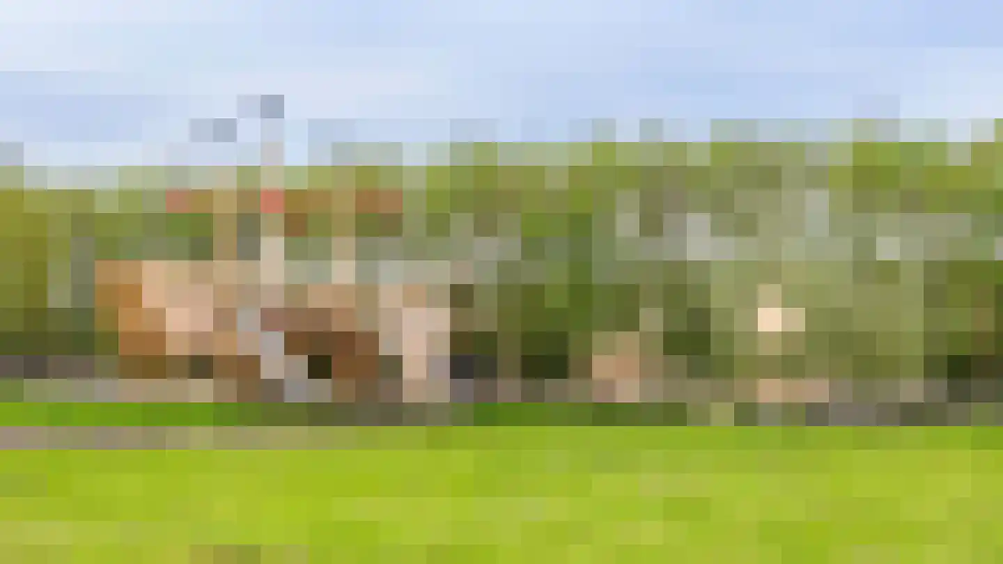 Sandvisbaai 1 Purmerend thumbnail 48