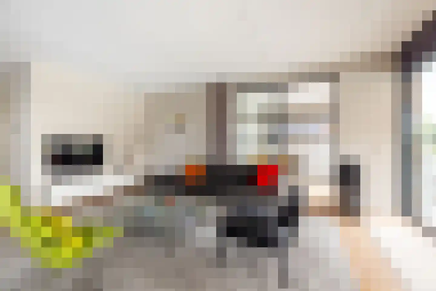 Sandvisbaai 10 Purmerend thumbnail 15