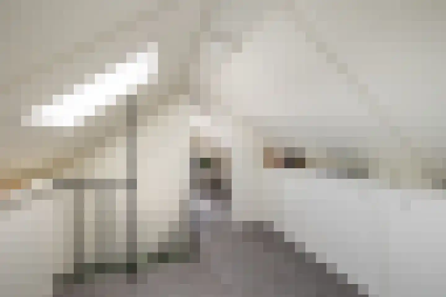 Sandvisbaai 10 Purmerend thumbnail 31