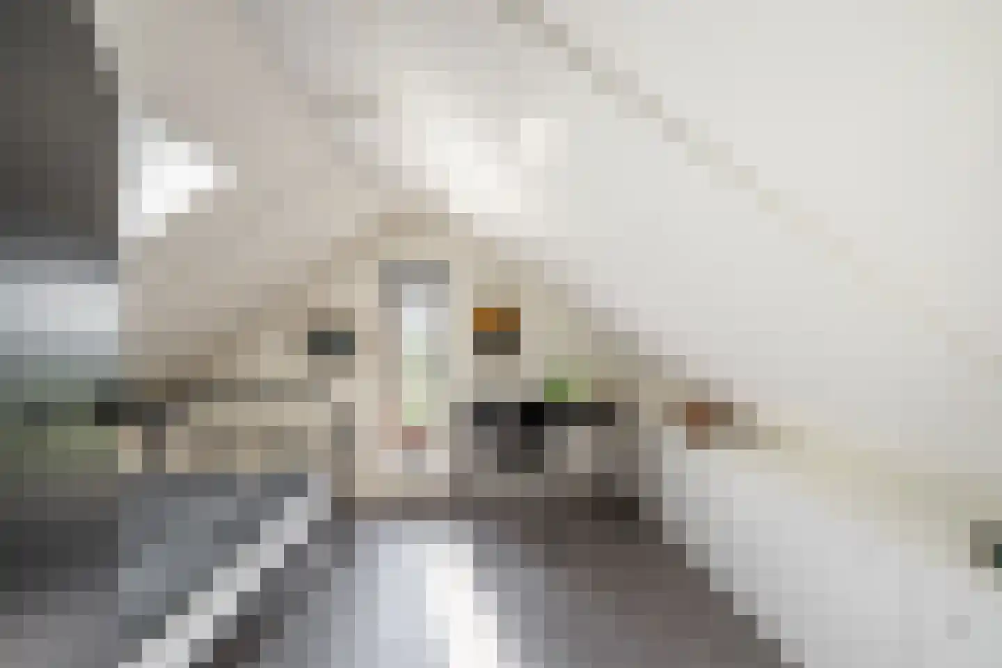 Sandvisbaai 10 Purmerend thumbnail 32