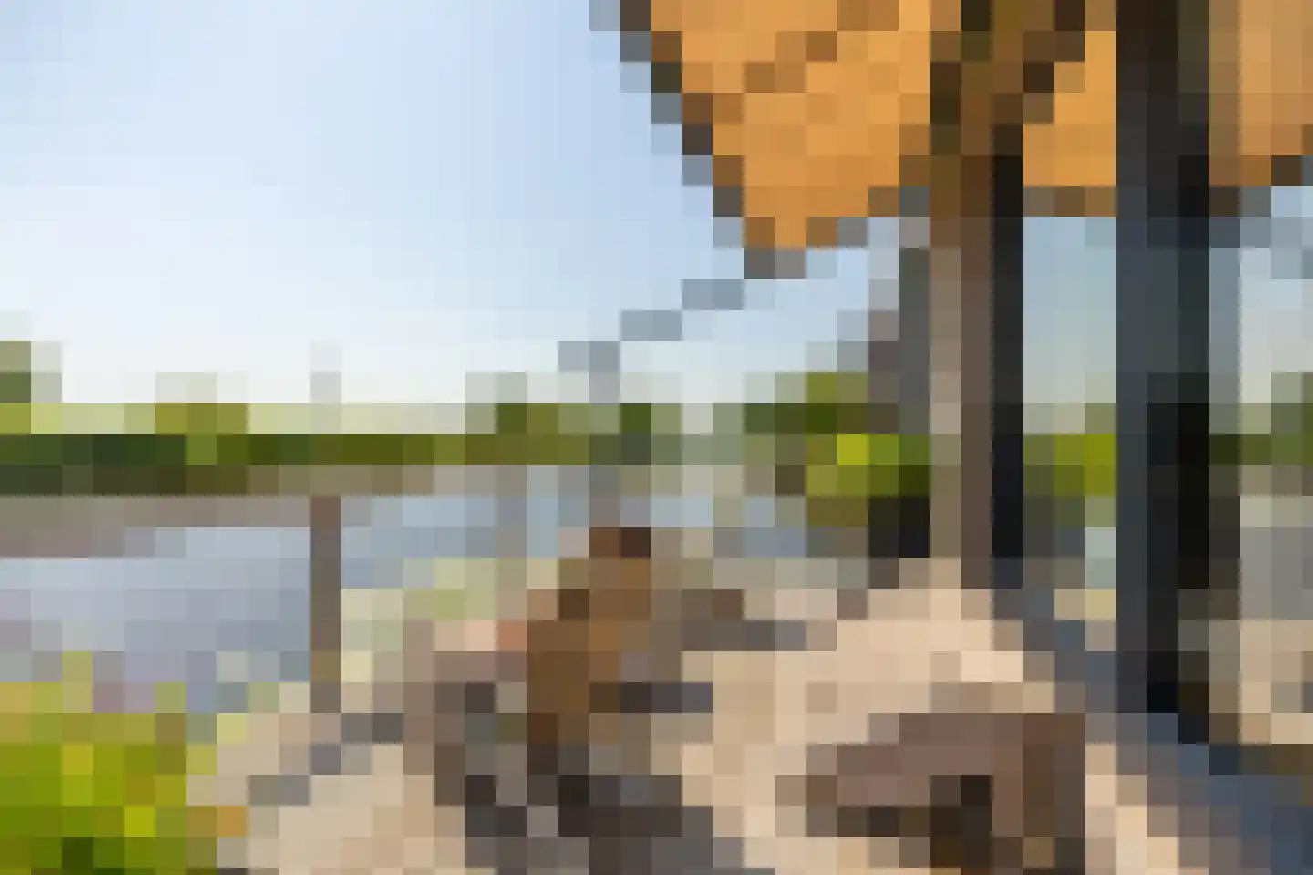 Sandvisbaai 10 Purmerend thumbnail 38