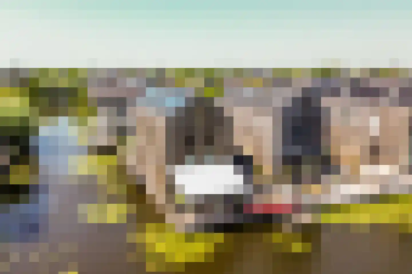 Sandvisbaai 10 Purmerend thumbnail 45