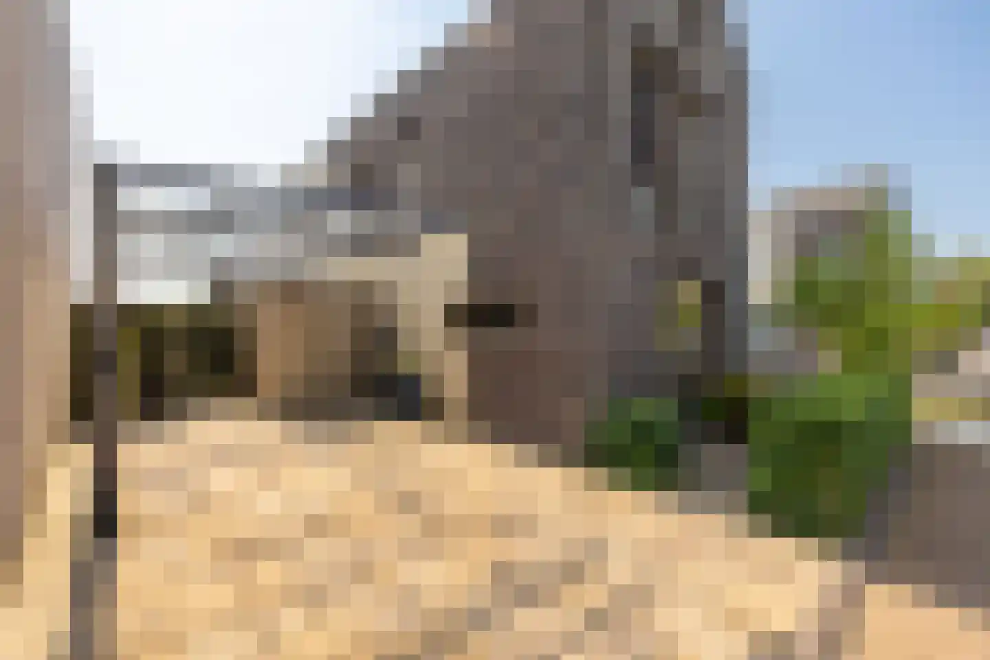 Sandvisbaai 10 Purmerend thumbnail 8