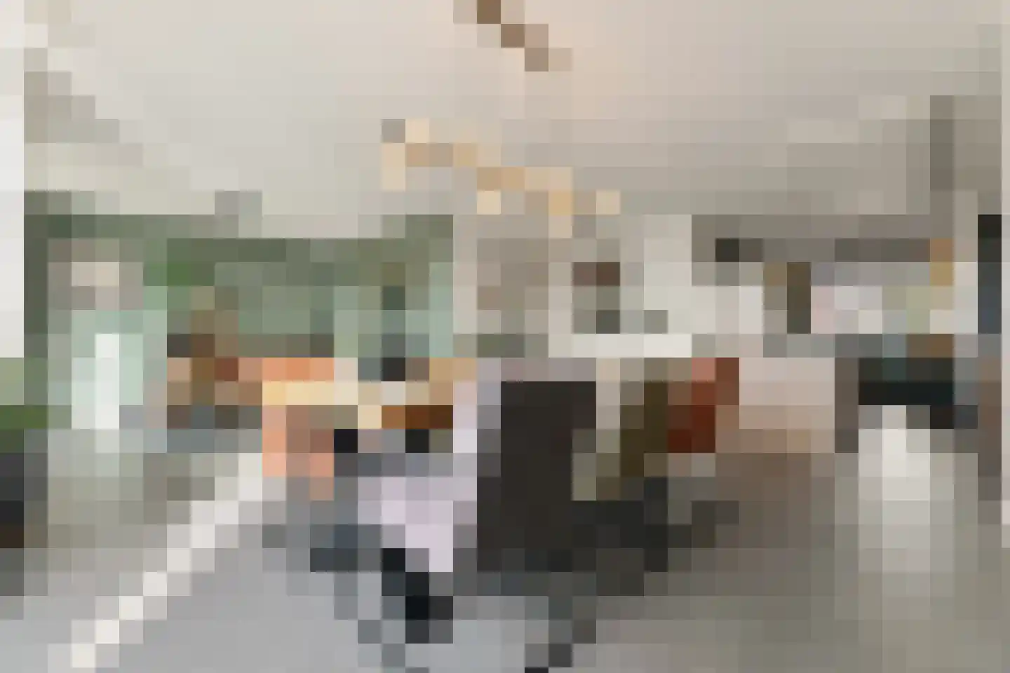 Sandwijck 5 Assendelft thumbnail 11