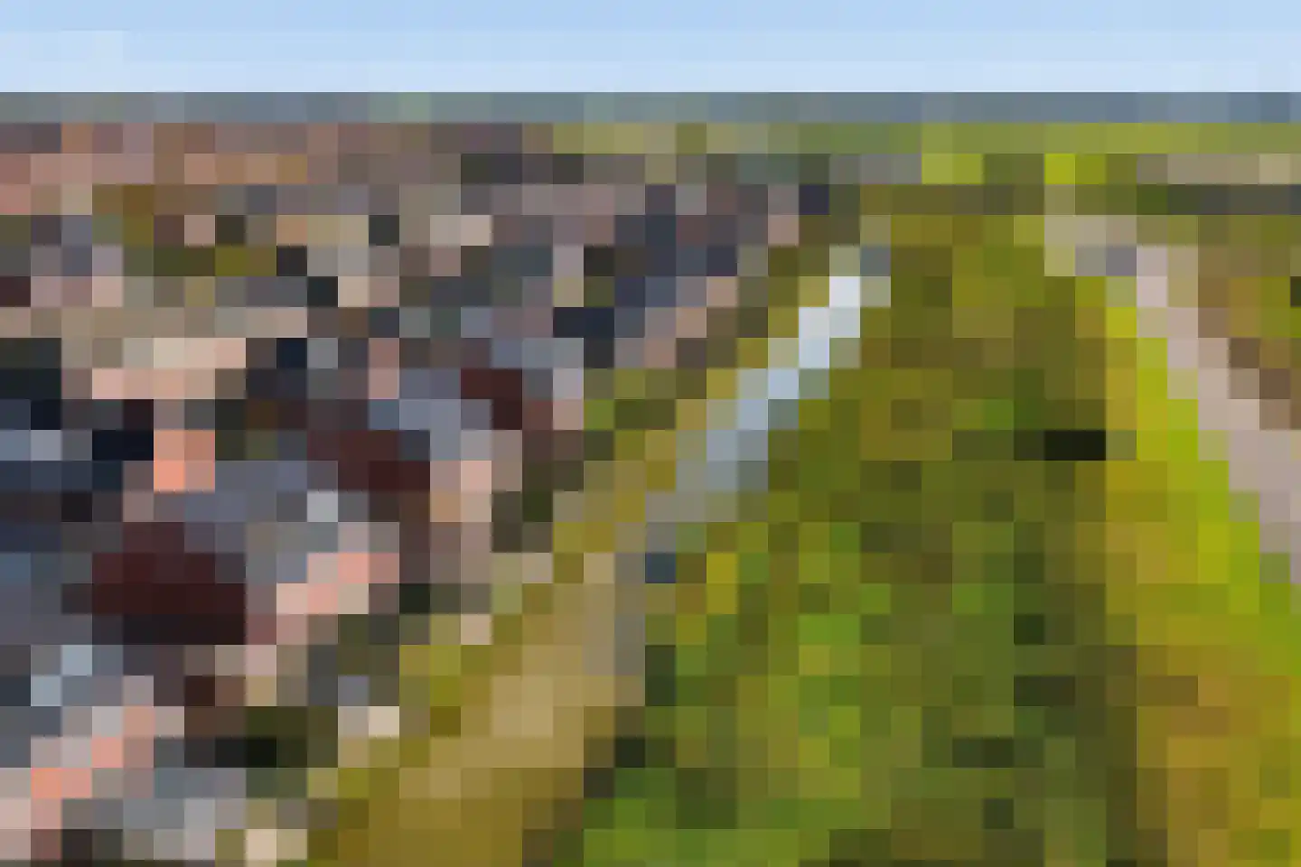 Sandwijck 5 Assendelft thumbnail 19
