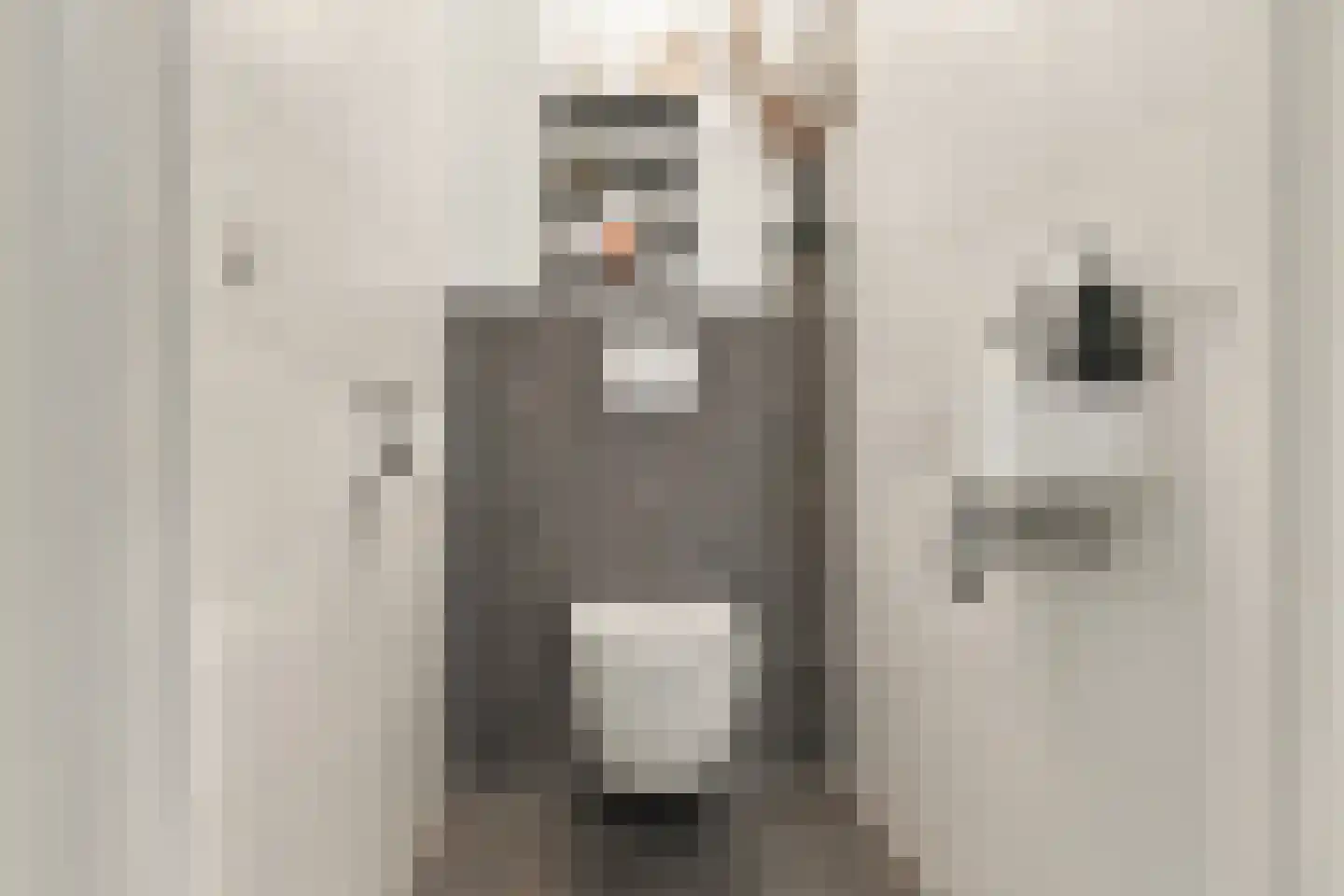 Sandwijck 5 Assendelft thumbnail 26