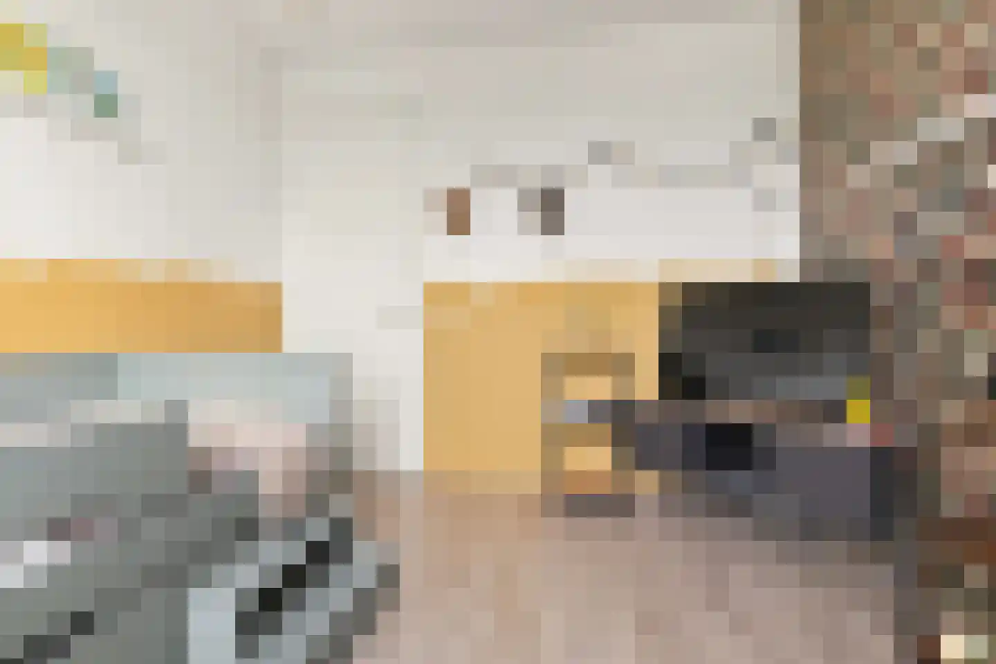 Sandwijck 5 Assendelft thumbnail 33